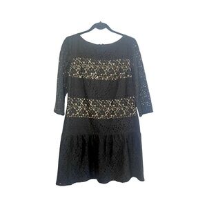 Ann Taylor Black and Cream Long Sleeve Lace Midi Cocktail Dress